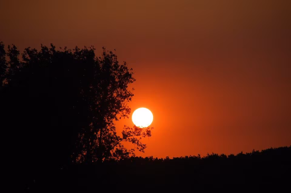 zalez-nad-dyrvetata