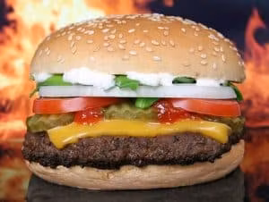 hamburger